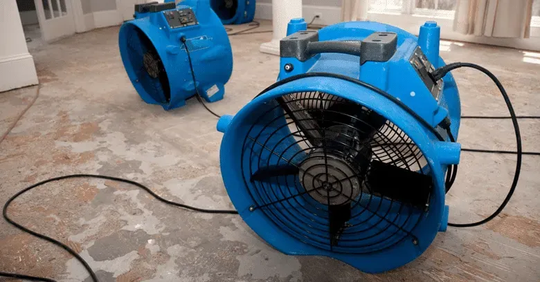 How Mold Remediation Danville Helps Address Mold Problems Effectively