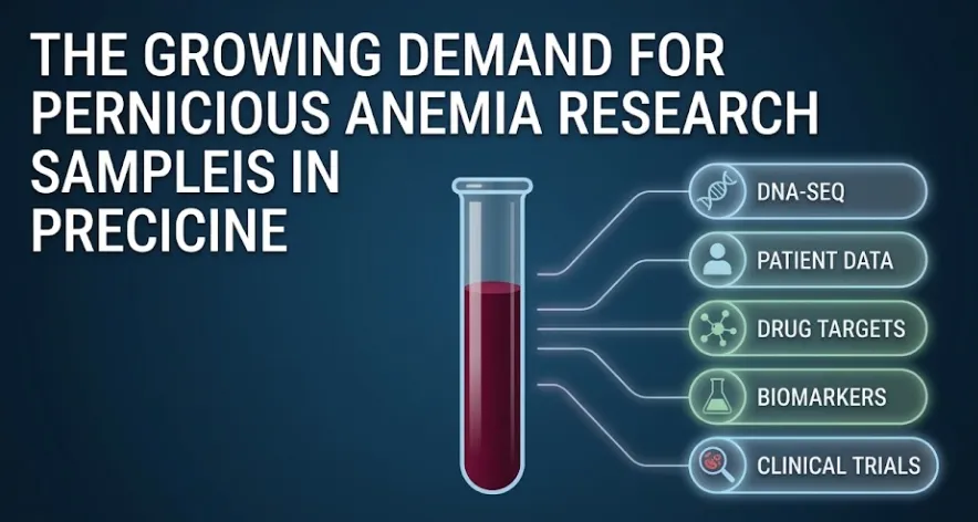 The Growing Demand for Pernicious Anemia Research Samples in Precision Medicine