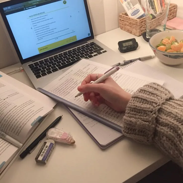 Ultimate Guide to Applying for a Study Visa From Noida