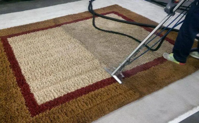 Remove What Vacuums Miss: The Benefits of Rug Steam Cleaning Services