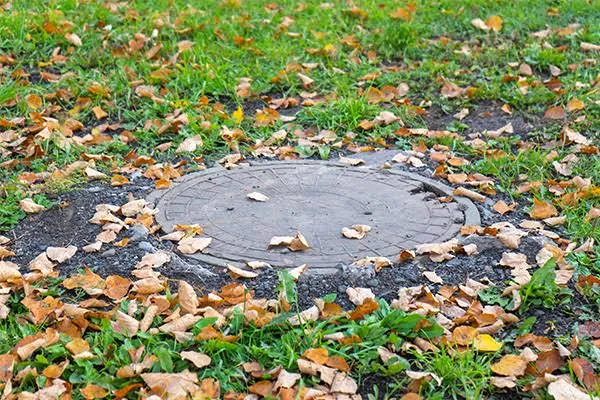 How Timely Septic Service Can Prevent Major Problems in Albuquerque