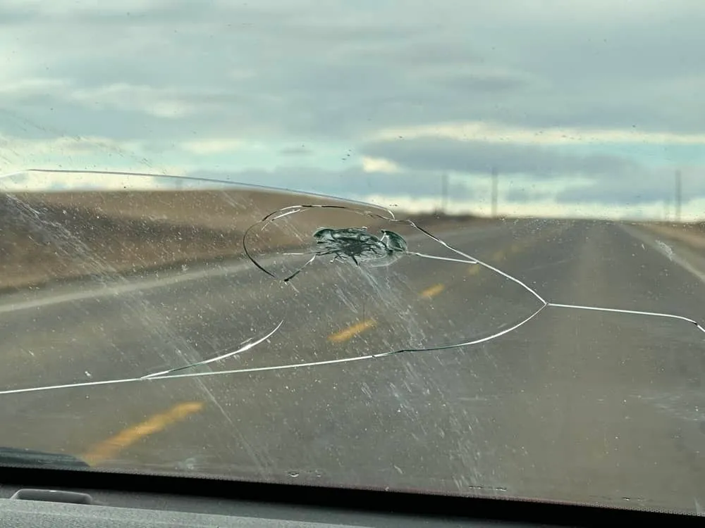 How Can Proper Windshield Care Help Prevent Costly Auto Glass Repairs?