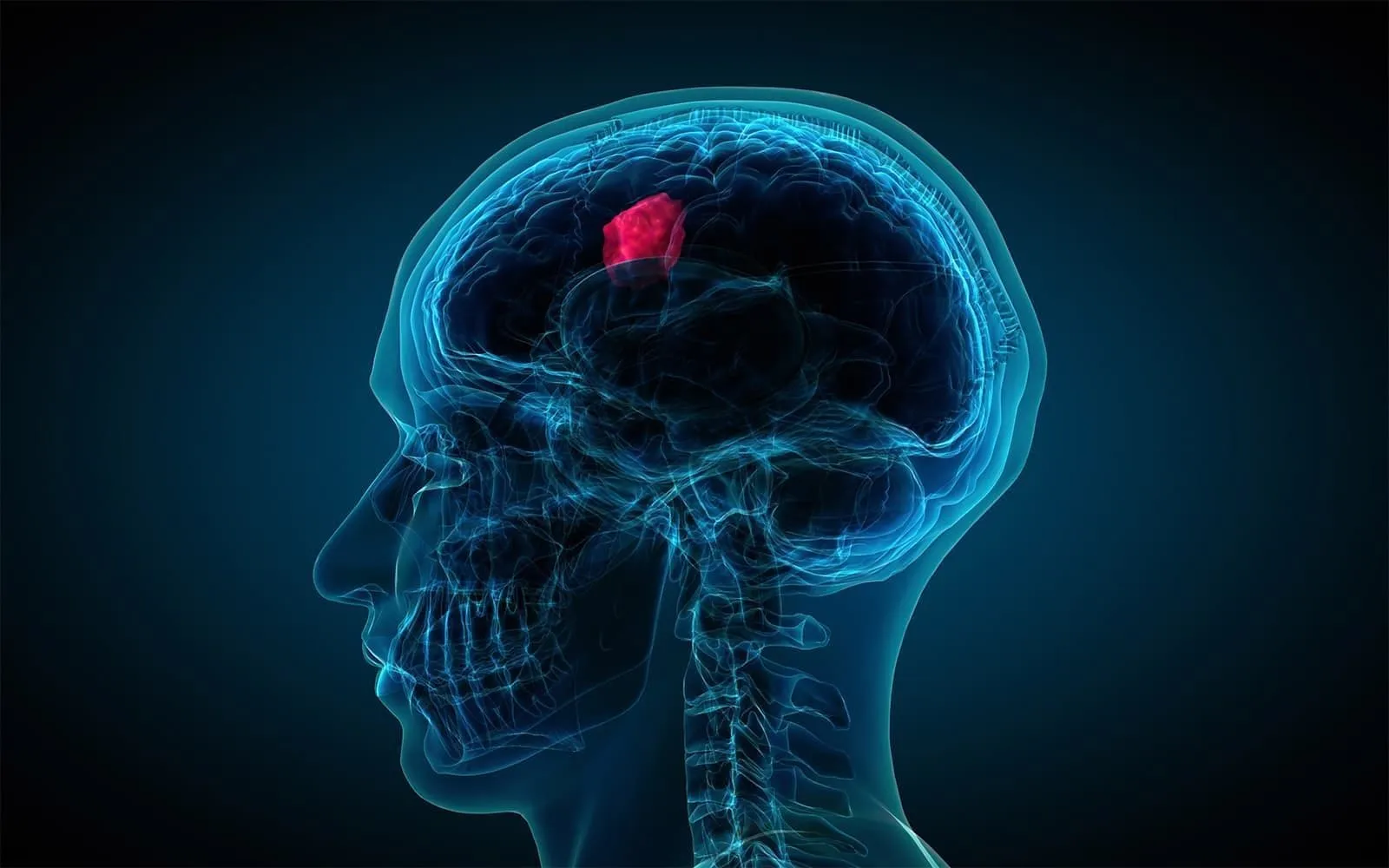 Discovering Neurosurgery Mission Viejo for Brain and Spine Conditions