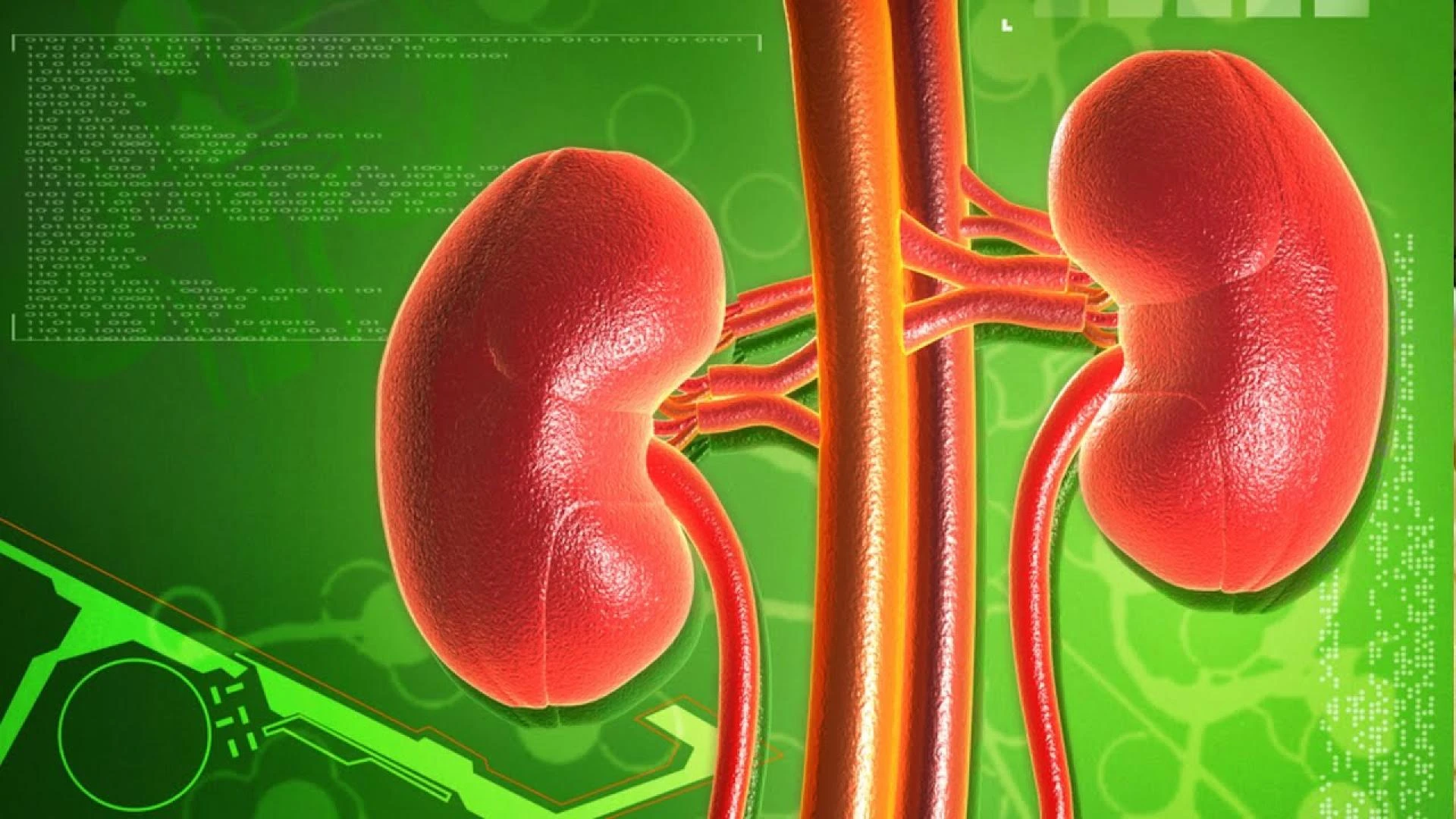 PROPER NUTRITION AFTER KIDNEY TRANSPLANT SURGERY