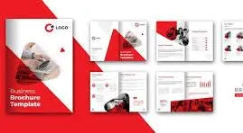 7 Things to Look for in a Professional Logo Design Company