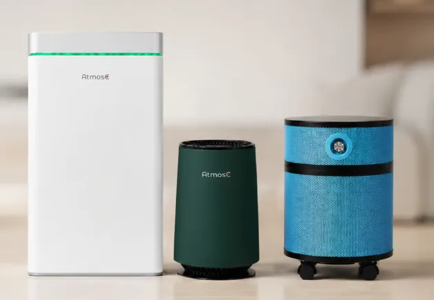 Why Rainy Season Mold Spores Make an Indoor Air Purifier Essential