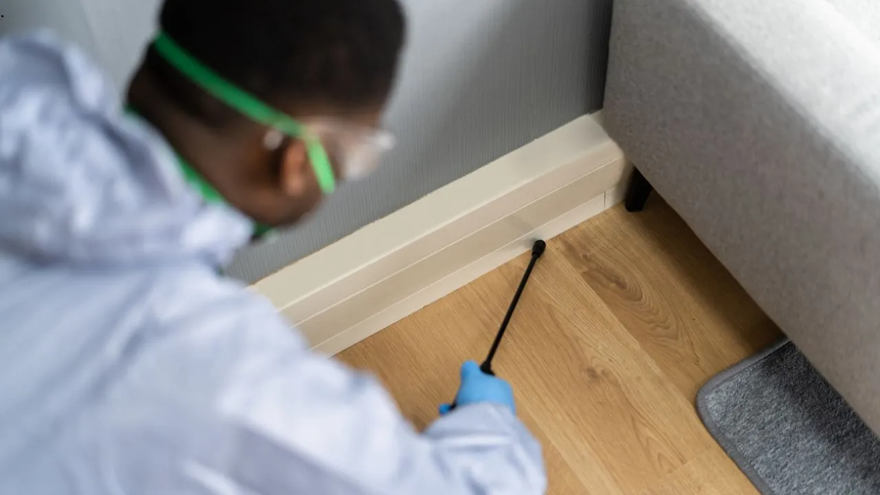 Termite Baiting vs. Soil Treatment: A Homeowner's Comparison Guide