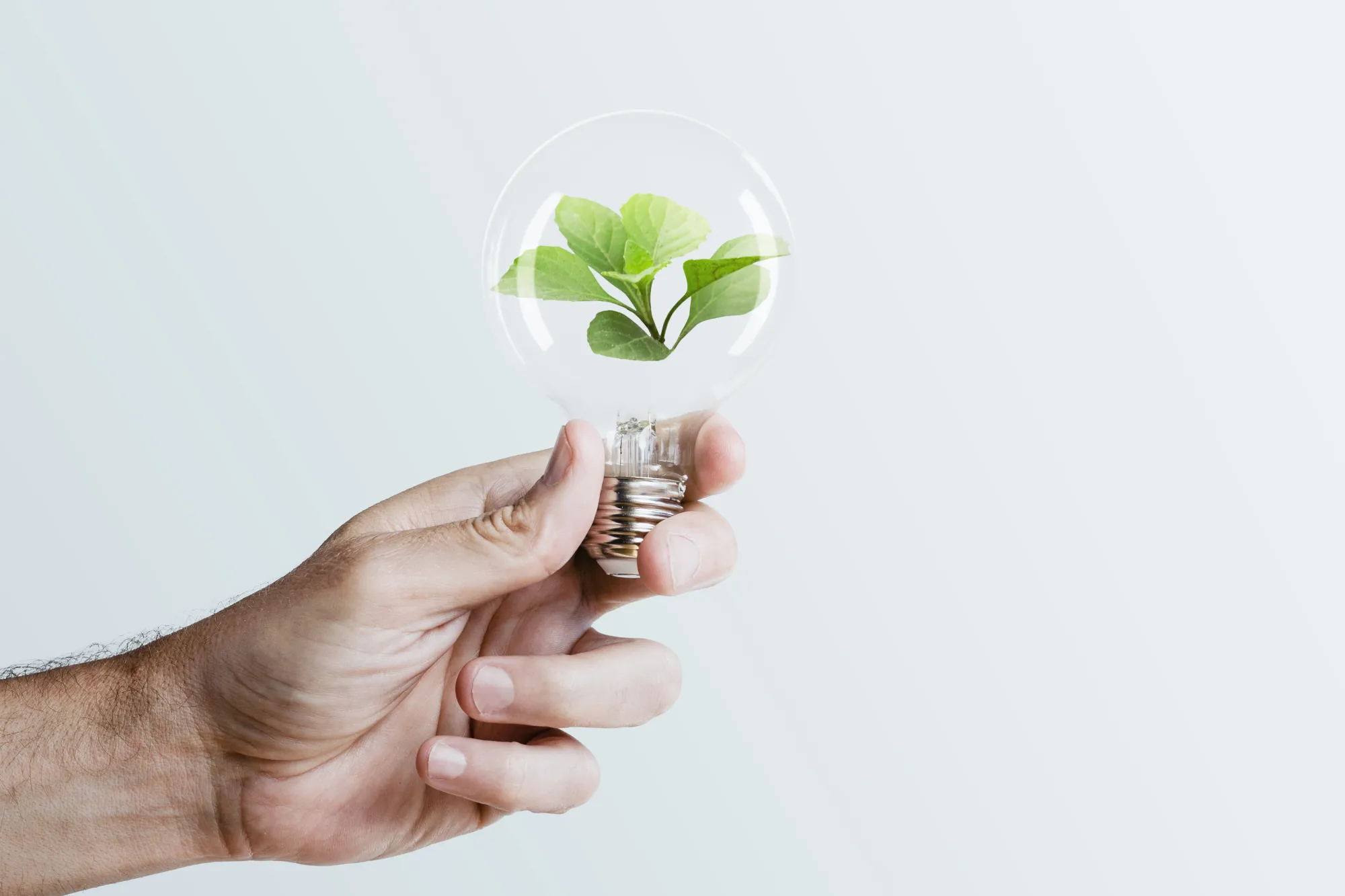 How Sustainability Reporting Can Improve Long-Term Business Resilience