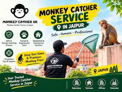 Monkey Catcher Jaipur – Professional Monkey Catcher Service in Jaipur