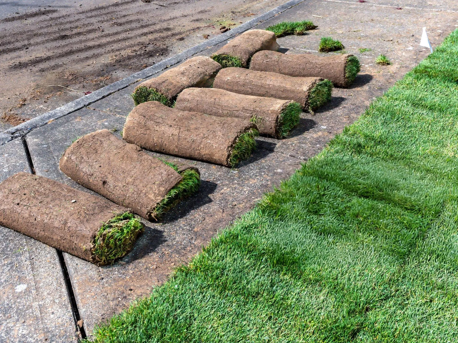 A Greener Dallas Yard With Less Everyday Lawn Work