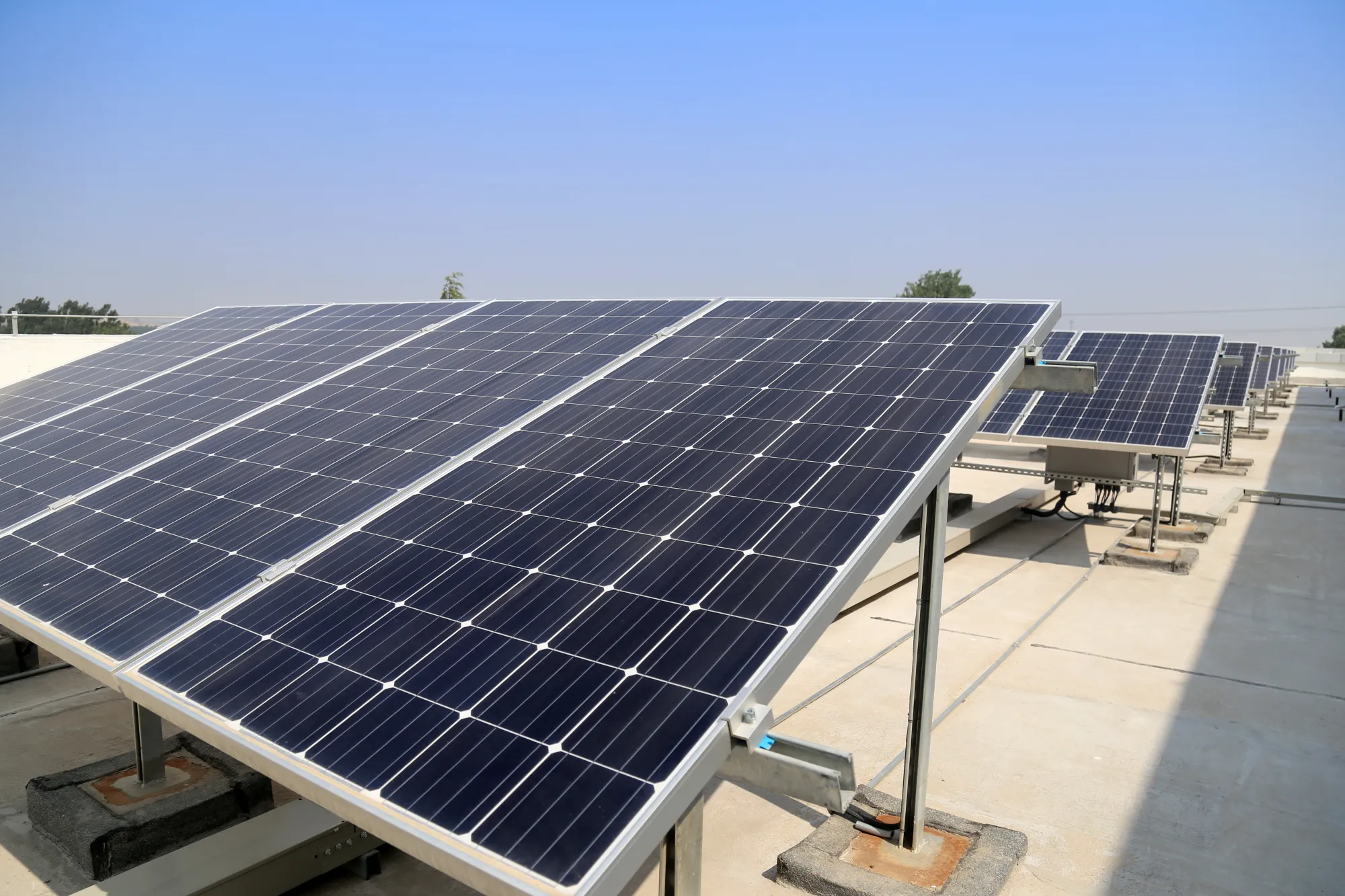 Mono-PERC, TOPCon &  Bifacial Solar Panels: Which Is Best for Homes and Businesses?
