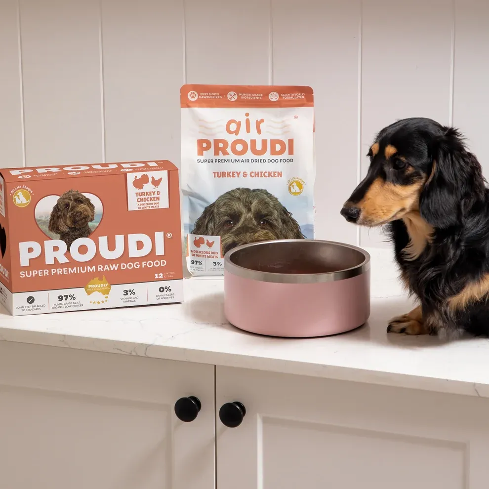 Is a Commercial Raw Food Diet For Dogs Safer Than DIY?