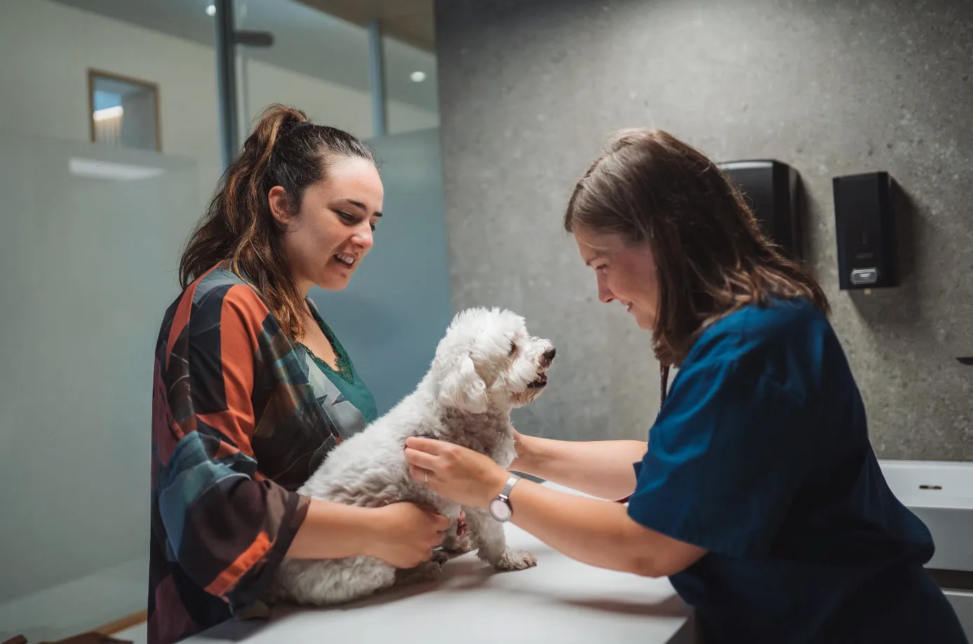 How Veterinary Software Helps Dubai Vet Clinics Improve Operations