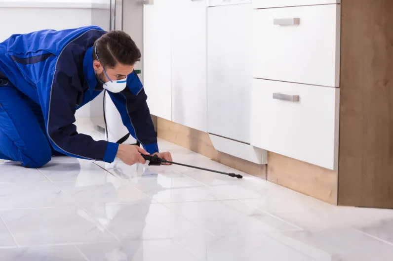 Why Professional Home Pest Control Services Are Important?