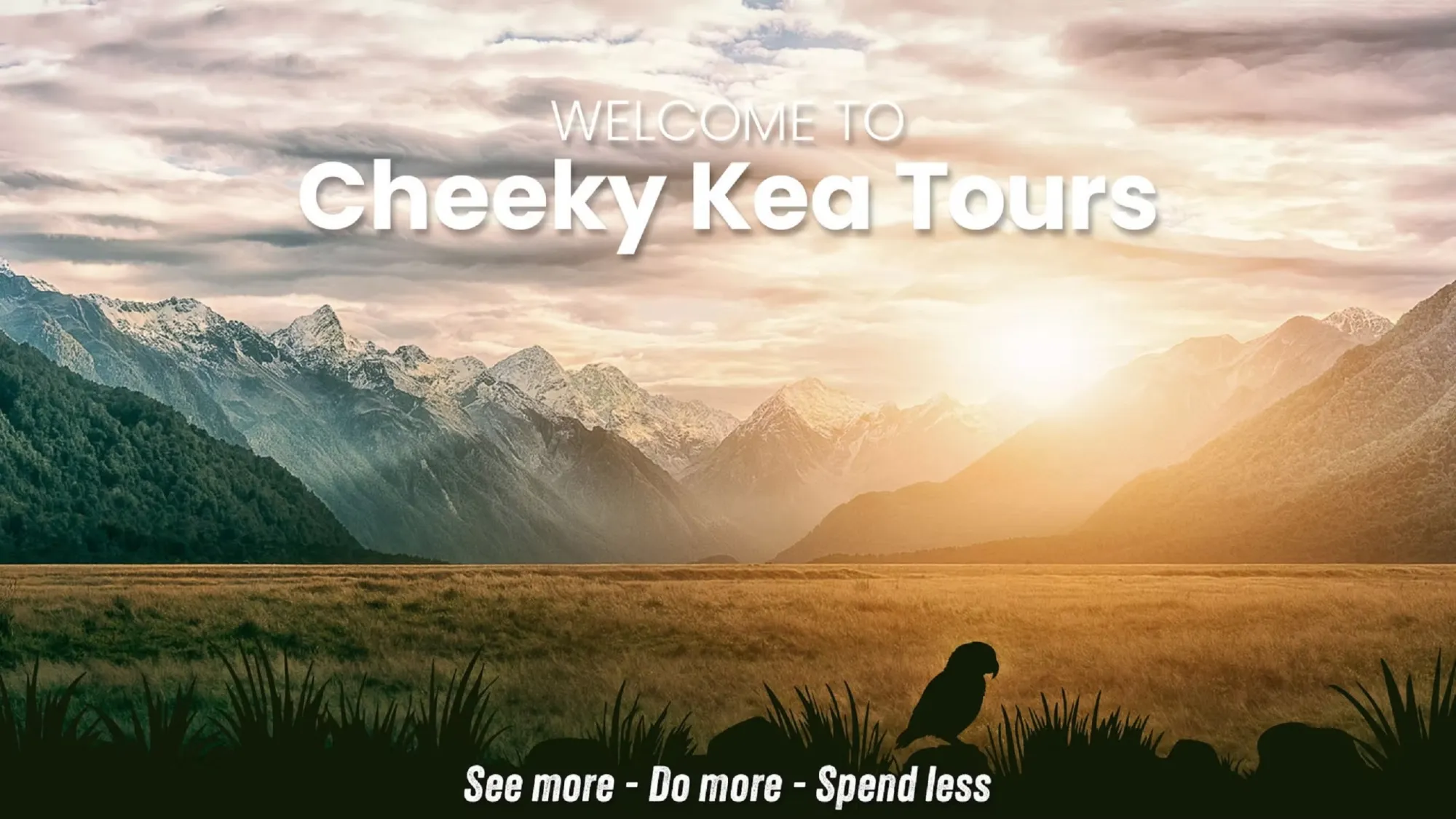 Choose Kaikōura or Akaroa Before Booking Your Travel Day