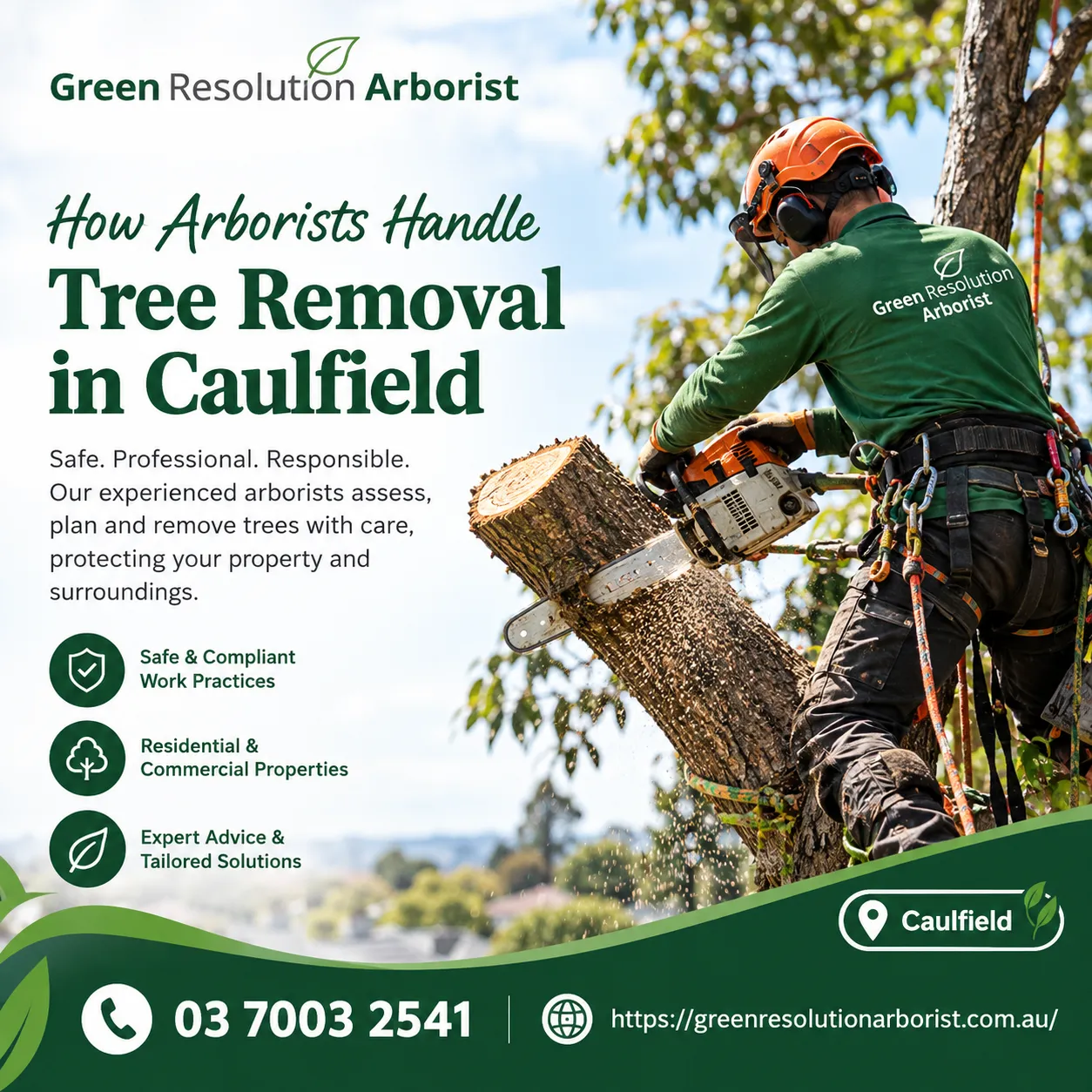 How Arborists Handle Tree Removal in Caulfield