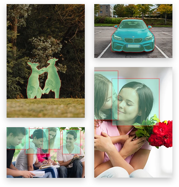 Expand Business Horizons with Professional Image Recognition Services