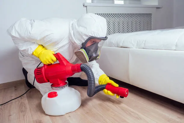 Safe Ways to Dispose of Bed Bug Infested Furniture Responsibly Today