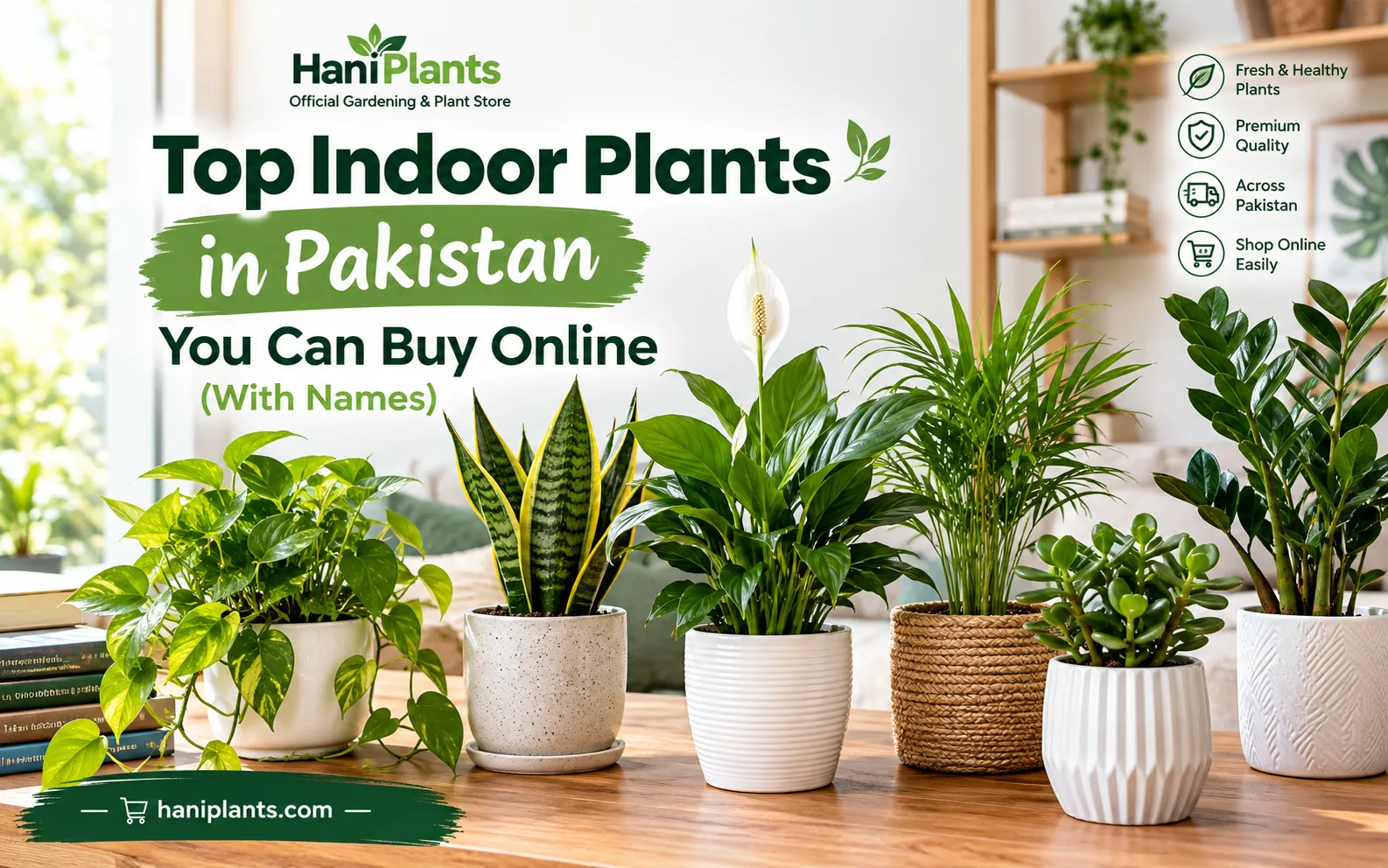 Top Indoor Plants in Pakistan You Can Buy Online (With Names)