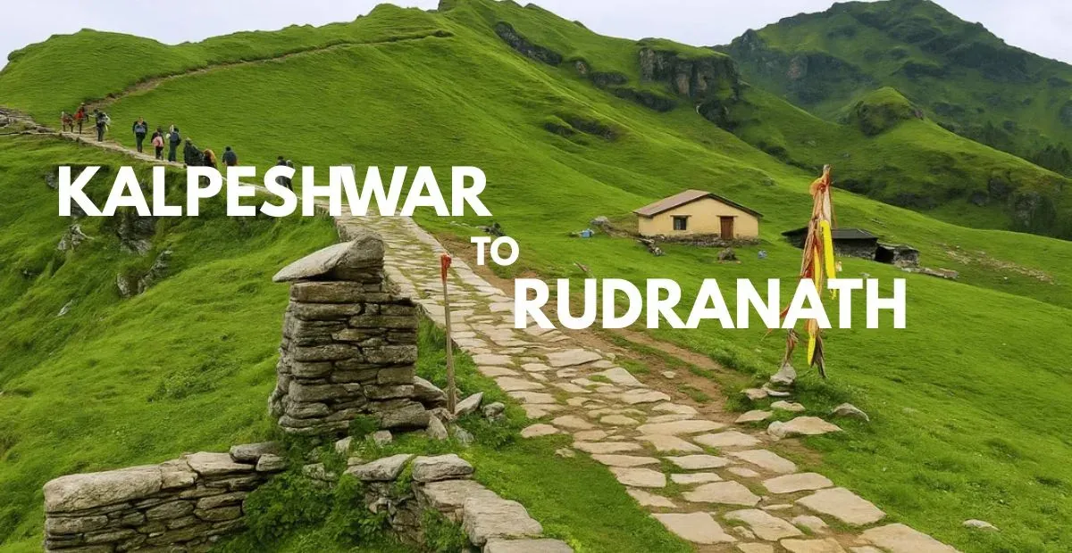 Rudranath Trek: Explore the Sacred Himalayan Journey
