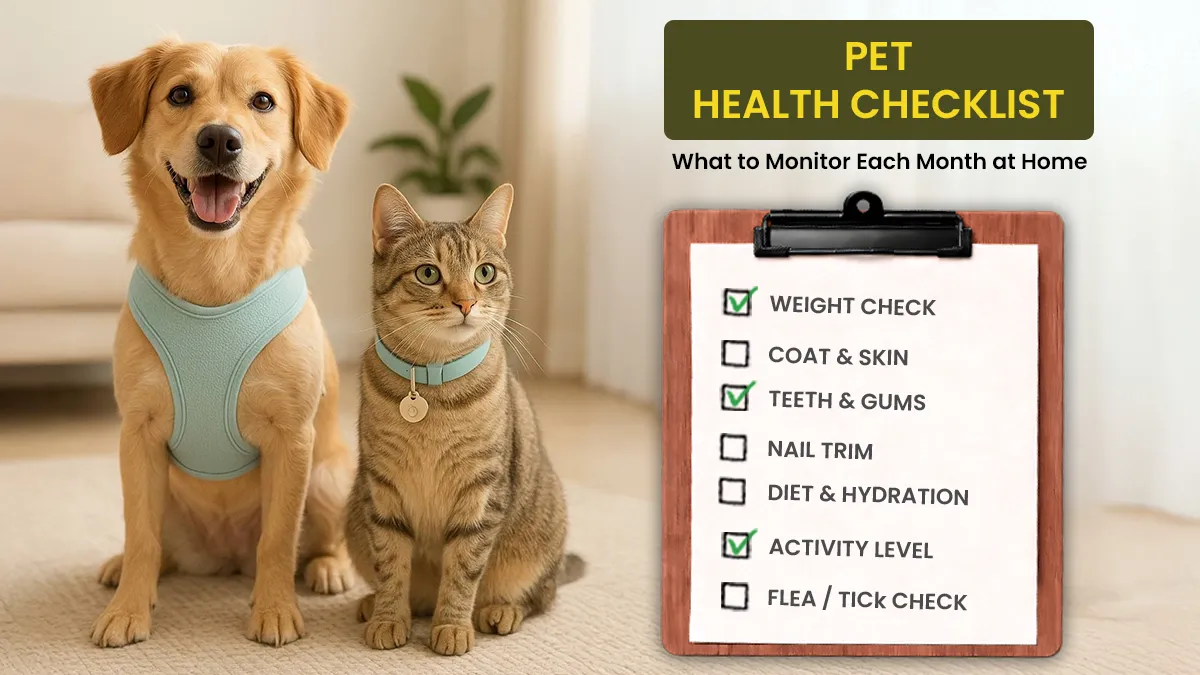 Pet Health Checklist: What to Monitor Each Month at Home