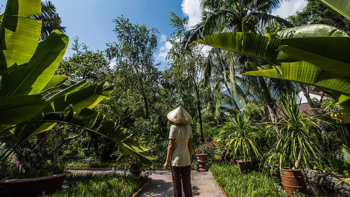One Guide to Vietnamese Gardens: Locating Top Gardens of Vietnam