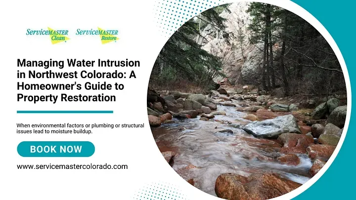 Managing Water Intrusion in Northwest Colorado: A Homeowner's Guide to Property Restoration