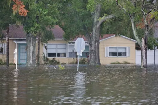 The Best Flood Insurance Company in Florida Might Surprise You