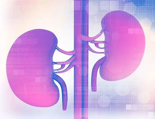The Real Reason Behind the 24-Hour Urine Test for Kidney Stones