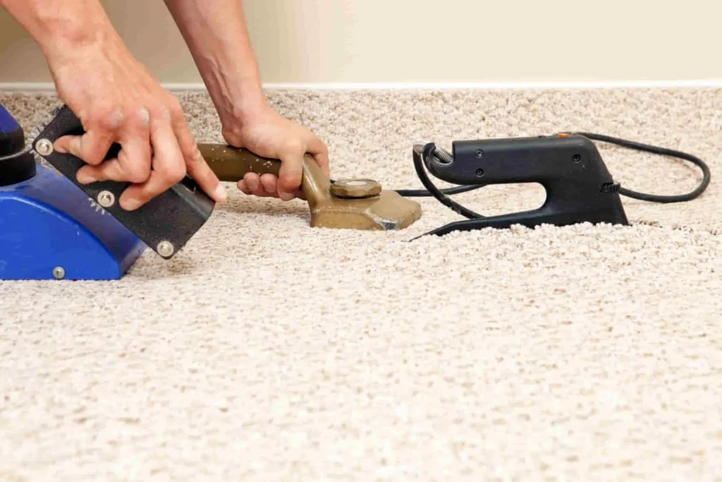 Carpet Cleaning in Brampton Ontario: Cost, Care and Professional Cleaning Tips