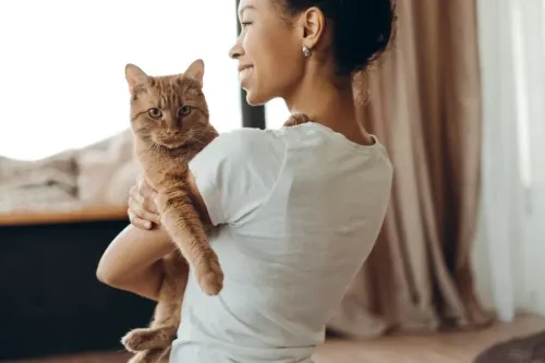 Cat Sitter Denver CO: What to Look for When Choosing Safe, Personalized Cat Care