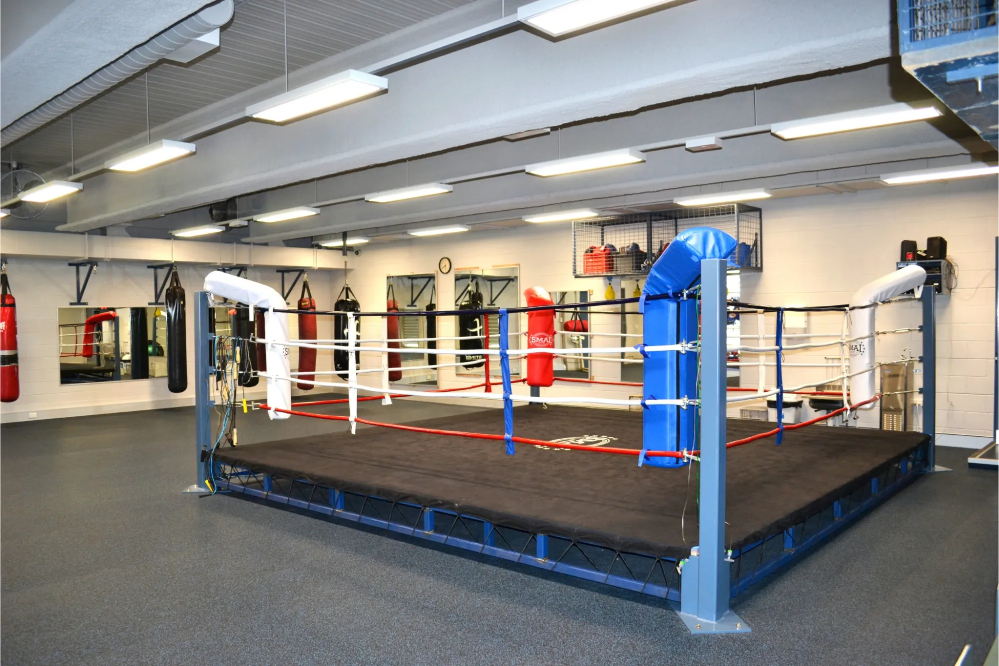 Boxing Training Gyms in Hayward How to Choose the Right Gym