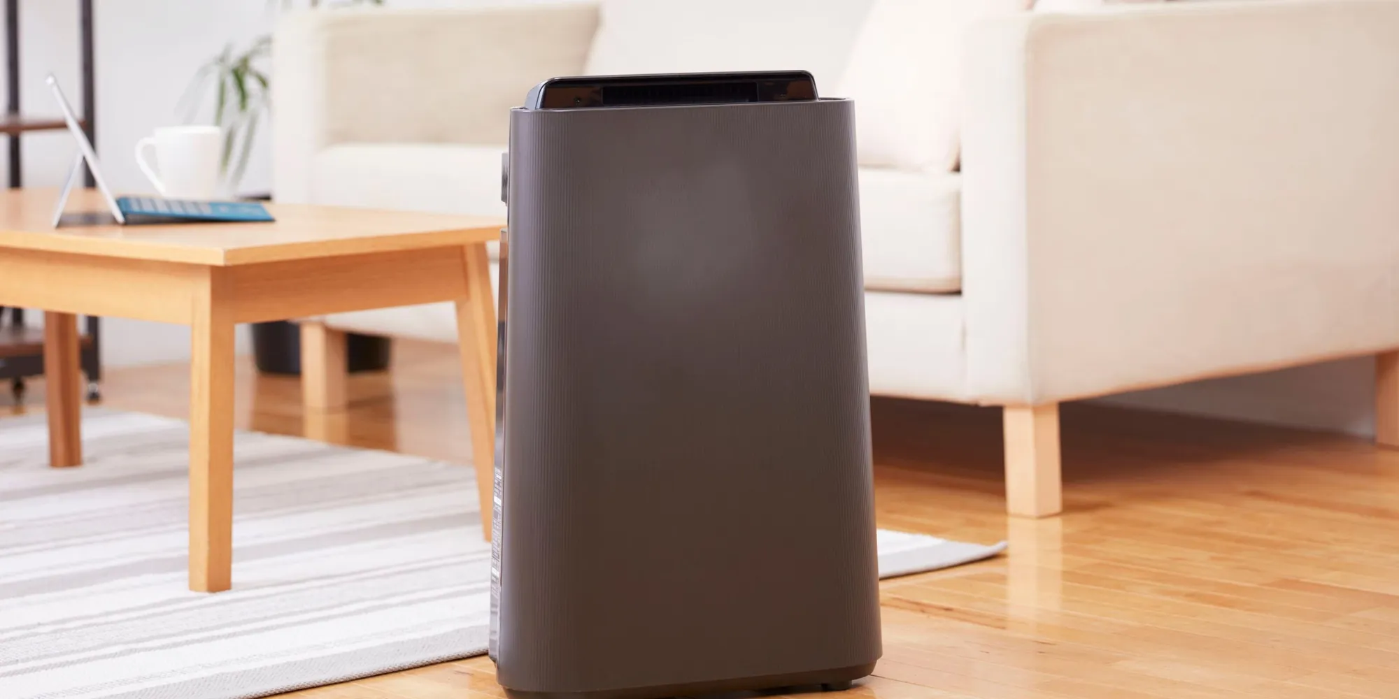 Cold & Flu Season Is Here: Can a Home Air Purifier Really Keep You Healthier?