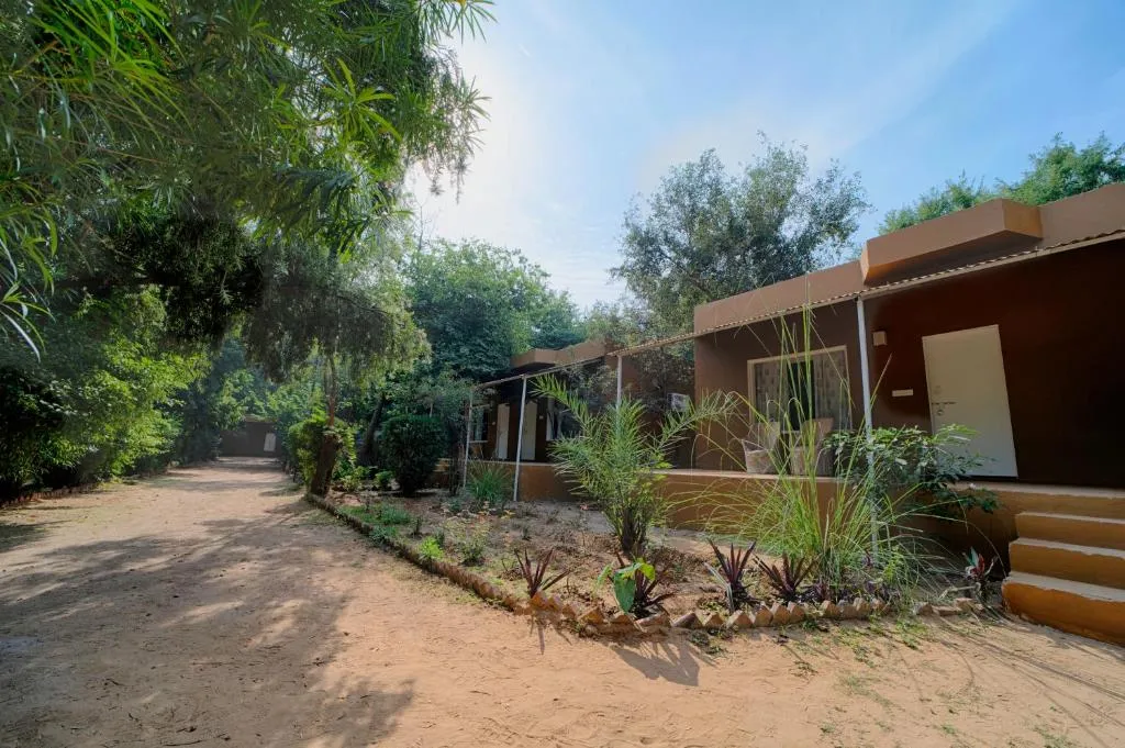 Ranthambore Tiger Resort: A Practical Wildlife Stay Guide