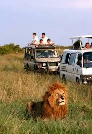 Planning Your First Kenya Safari