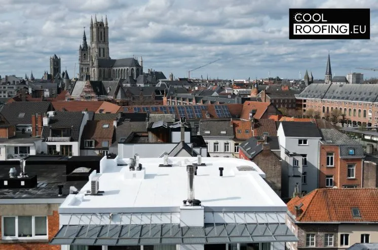 Peinture Réfléchissante Toit : Conseils, Choix Et Services Spécialisés