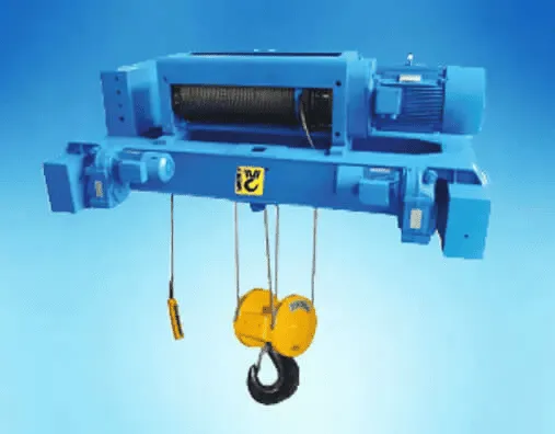 Low-Capacity vs Heavy-Duty Wire Rope Hoists | Vertex Cranes