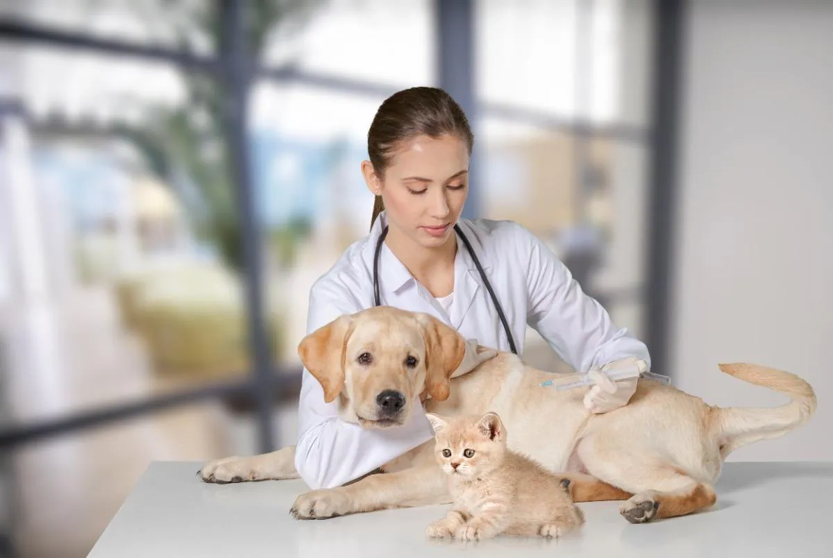Why Busy Pet Owners Prefer At Home Veterinary Appointments