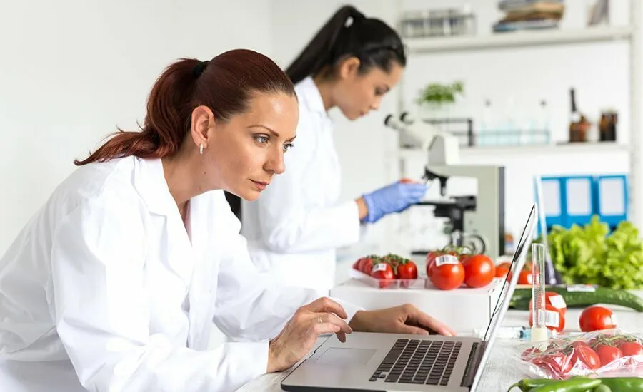 How to Choose a Food Safety Audit Company in Houston