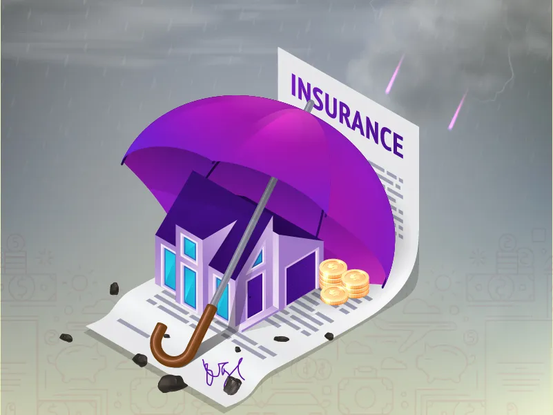 How a Property Insurance Adjuster in Tampa Values Storm Damage
