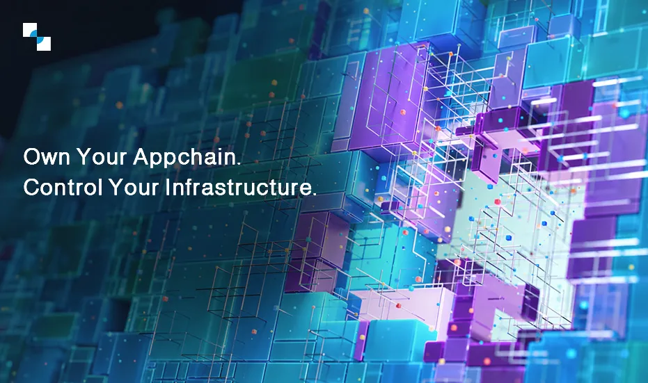 When Should a Business Build an Appchain? A Decision Framework for 2026