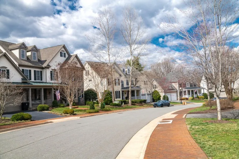 Top Factors to Consider When Hiring Pest Control Companies