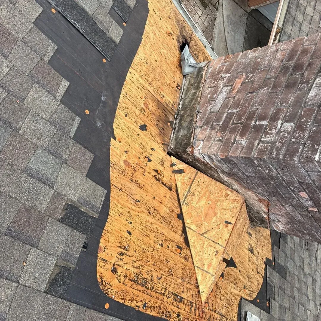 Roof Repair in The Woodlands: How Trees Can Affect Your Roof