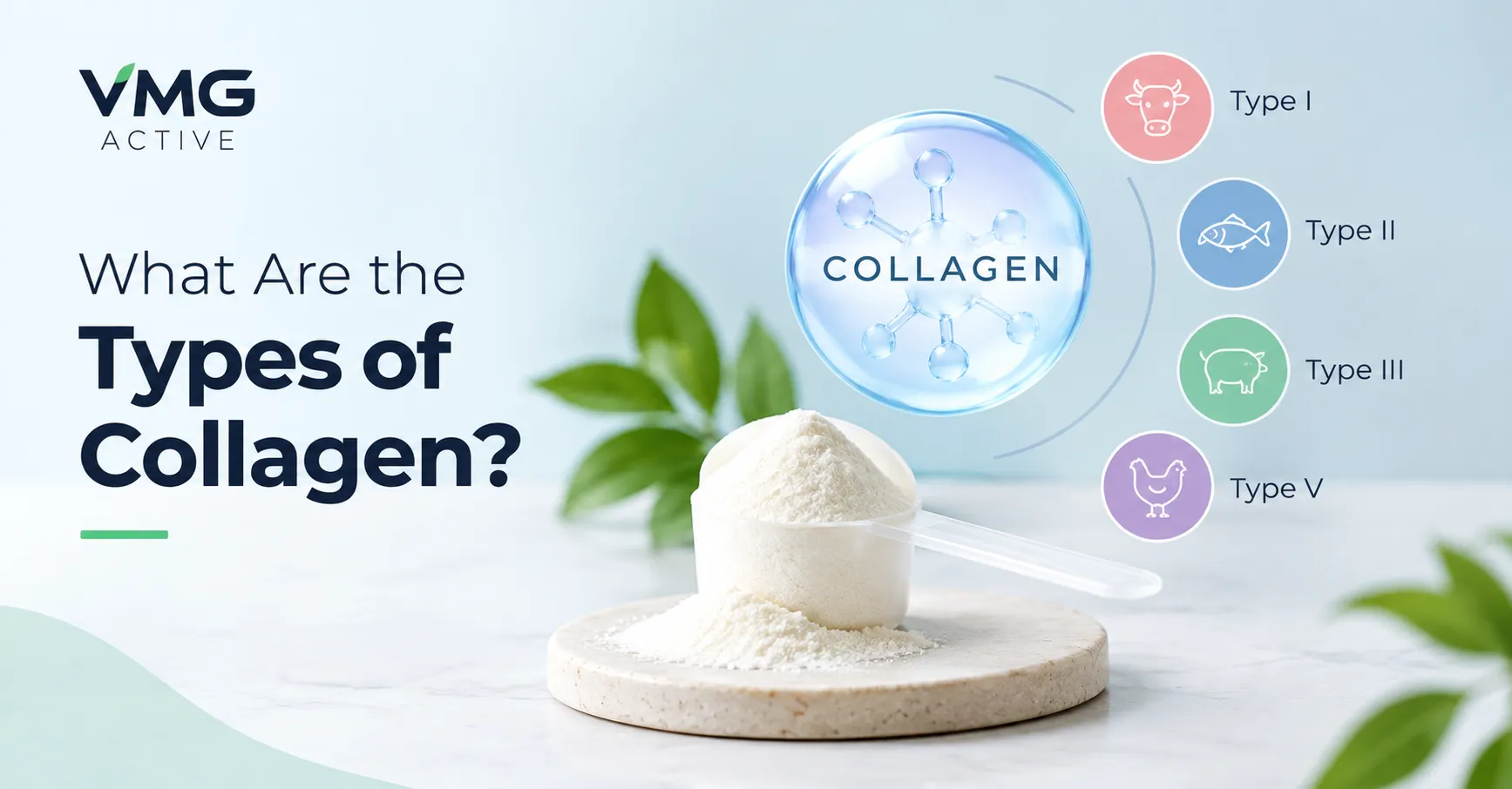 What Are the Types of Collagen?