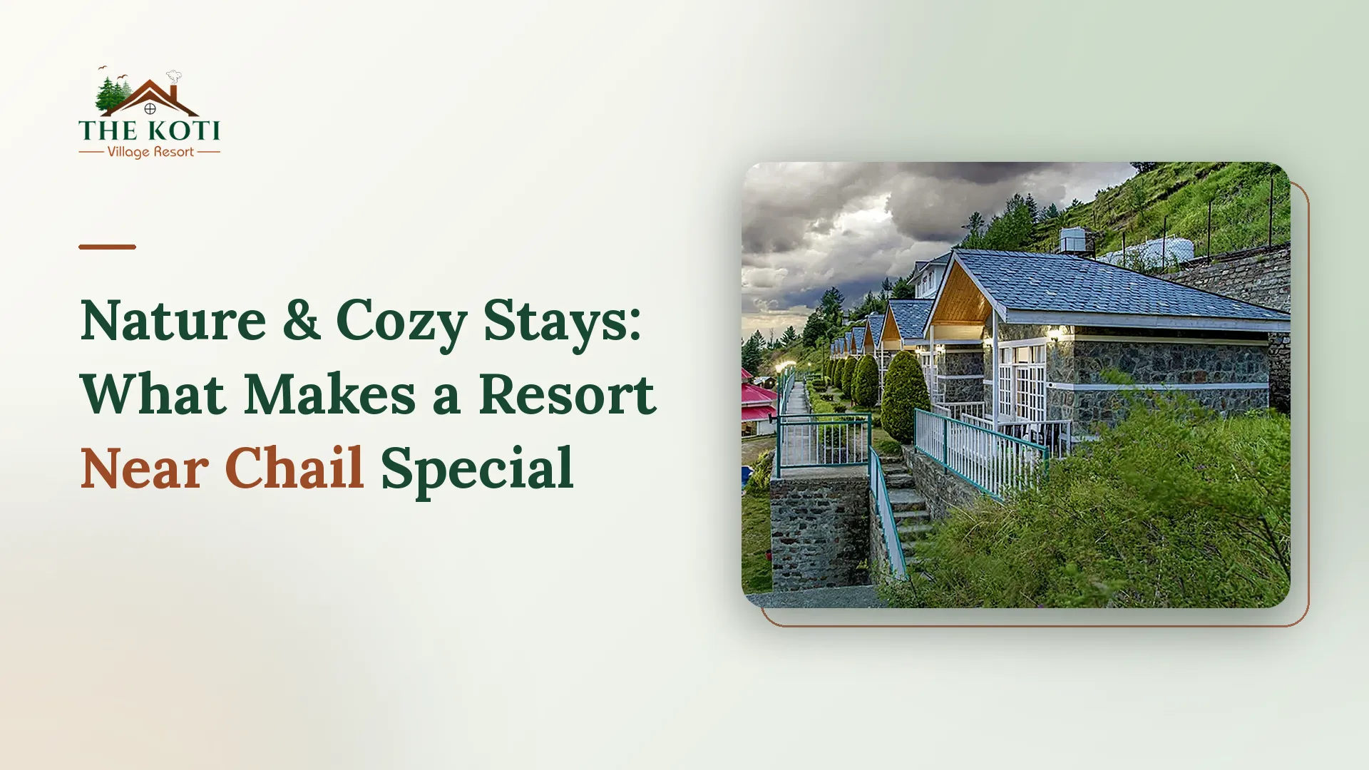 Nature & Cozy Stays: What Makes a Resort Near Chail Special