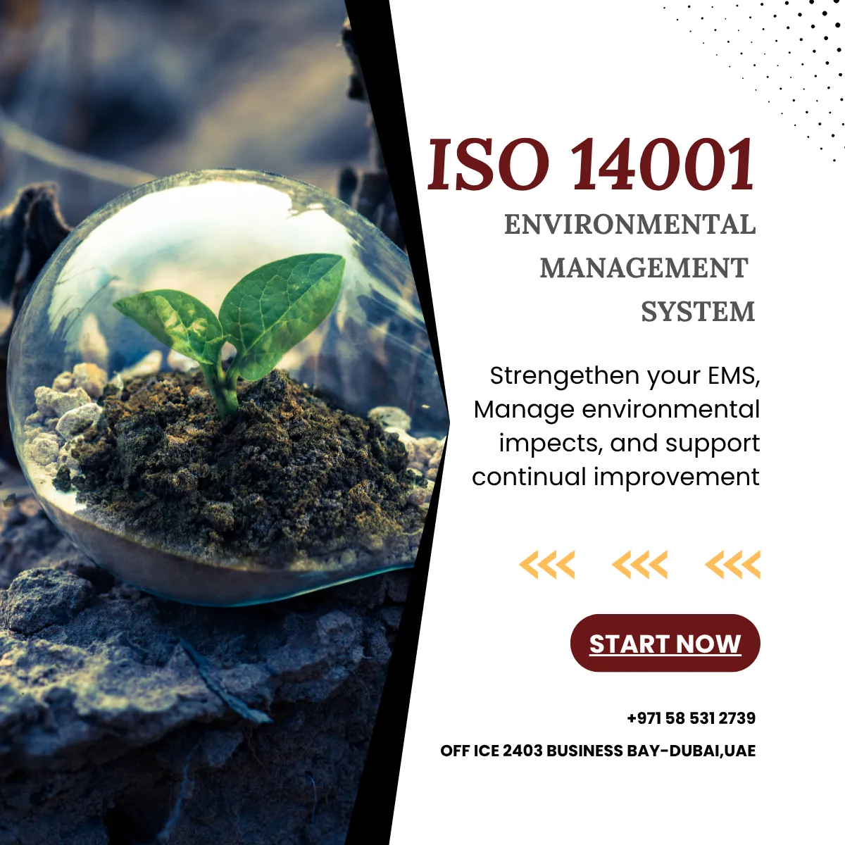 How To Prepare ISO 14001 Certification in UAE