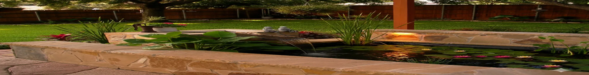 What to Know Before Building a Pond: A Complete Planning Guide