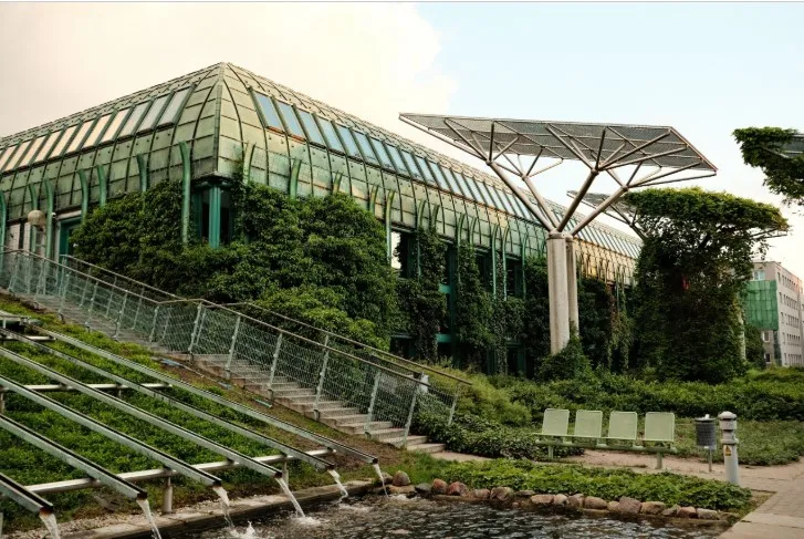 Reliable Building Services Sydney Solutions