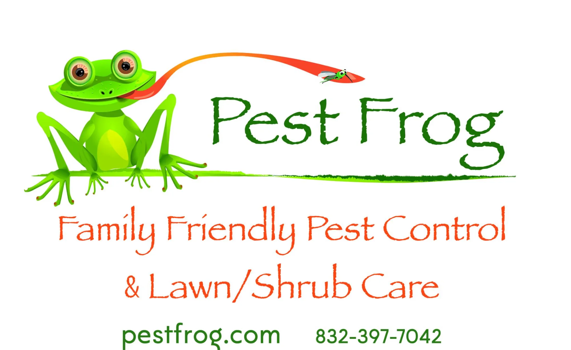 : Protect Your Home from Pests and Rodents in Houston & Spring, TX