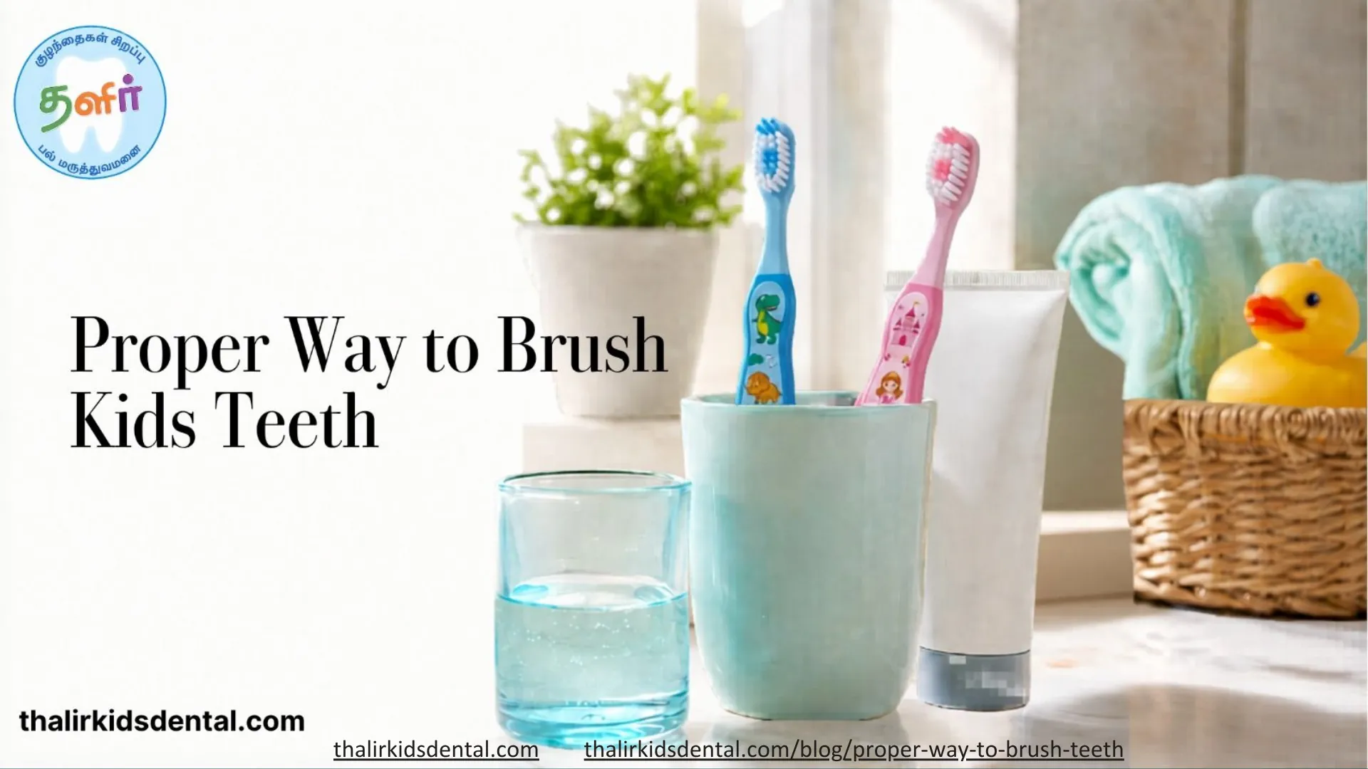 Proper Way to Brush Teeth: A Parent's Summer Guide